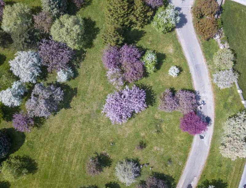 Arie den Boer Arboretum, United States